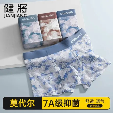 健将内裤男士冰丝莫代尔平角裤男款高档短裤男式抗菌透气四角裤头商品大图