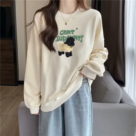 无帽卫衣女2024早春秋冬季新款宽松bf慵懒风圆领长袖上衣服潮ins商品大图