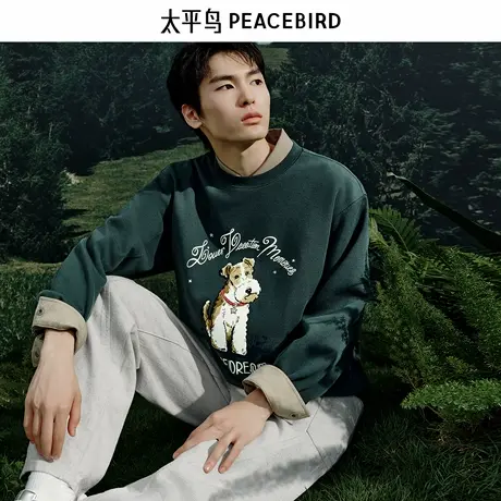 太平鸟男装 2025年春季新款圆领套头卫衣B1CRF1219图片