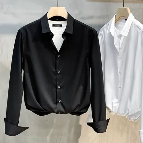 白衬衫男长袖商务休闲修身春秋职业正装上衣免烫抗皱男士西装衬衣商品大图