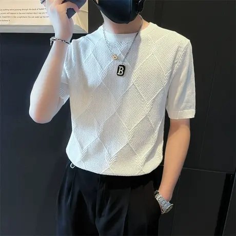 短袖T恤夏季2024新款几何提花肌理感纯色内搭半袖针织衫圆领上衣商品大图