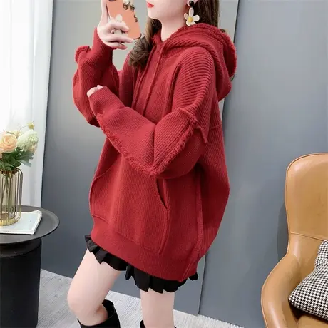 设计感流苏软糯连帽毛衣女秋冬2023新款宽松慵懒风百搭针织衫上衣商品大图