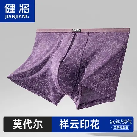 健将男士内裤莫代尔冰丝平角裤大码宽松秋季薄款透气四角裤头男款商品大图