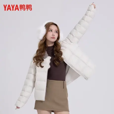 鸭鸭YAYA鸭鸭2025新款翻领长袖拉链简约女士白鸭绒轻薄短款羽绒服商品大图