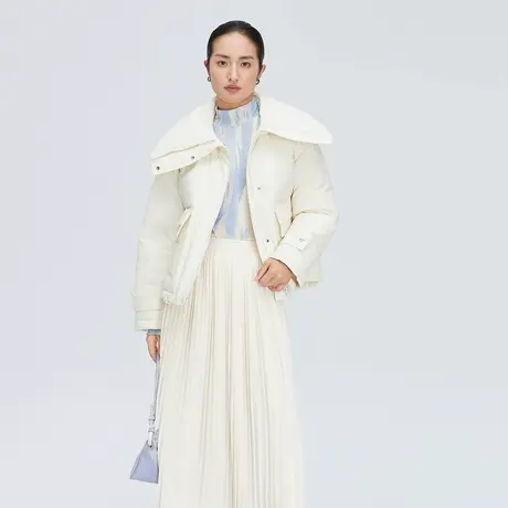 艾莱依冬季翻领户外休闲外套时尚百搭防风保暖短款羽绒服女士4098图片