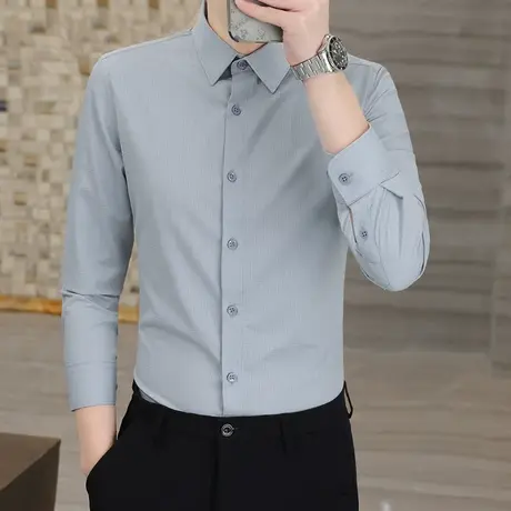 灰色长袖衬衫男士春秋季商务休闲免烫白色衬衣职业装上班工装寸衫图片