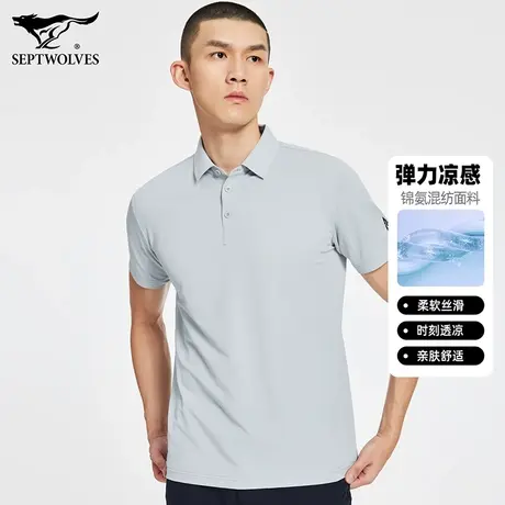 七匹狼男装短袖t恤翻领商务休闲夏季Polo衫上衣时尚男士修身夏装商品大图