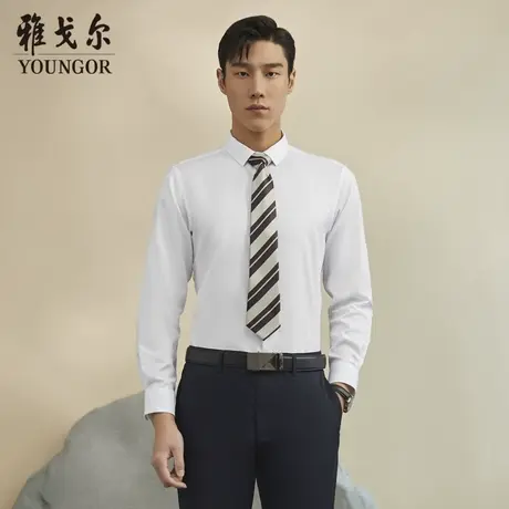 【易打理】雅戈尔CEO男士长袖衬衫秋季新款纯棉商务休闲上班衬衫图片