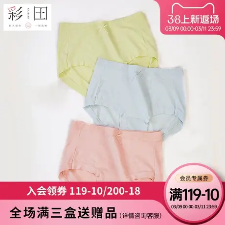 彩田女士内裤夏季新款棉莫混纺纯色蝴蝶结抗菌底裆中高腰三角内裤图片