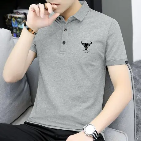 夏季男士polo衫短袖潮牌时尚保罗翻领t恤男装商务针织半袖上衣服商品大图