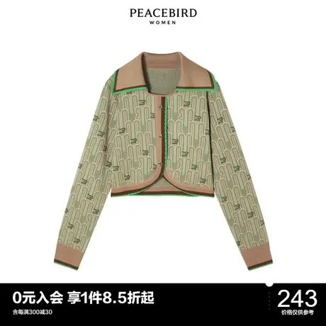 太平鸟气质流行春秋女士时尚年新款主题纹样套头衫A1EEC1G52图片