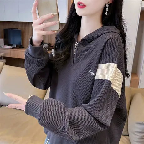 连帽卫衣女春秋韩版宽松大码设计感小众华夫格薄款假两件上衣外套图片