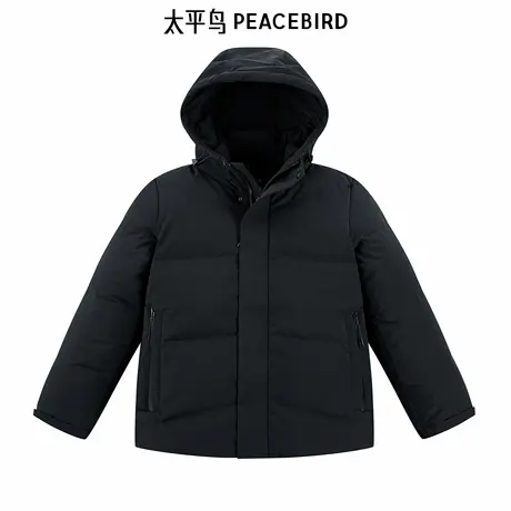 太平鸟男装连帽羽绒服BAACE4117商品大图