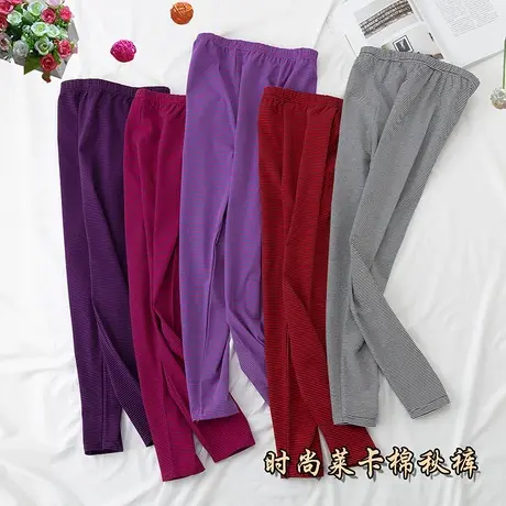 女士条纹全棉秋裤女单件莱卡棉棉妈妈中老年人大码加大打底裤商品大图
