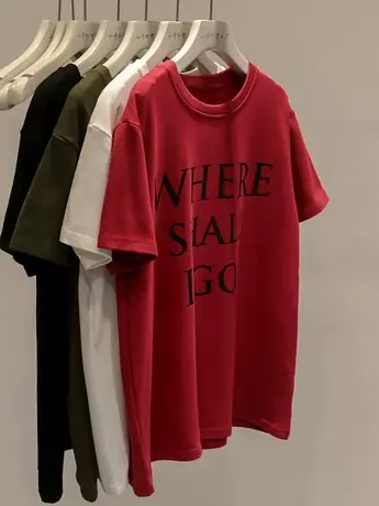 打底外穿都好看！韩版四色磨毛字母短袖T恤女宽松休闲圆领打底衫商品大图