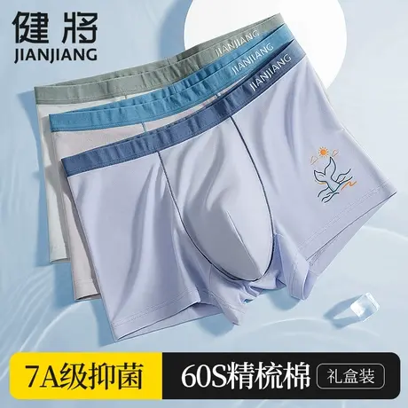 健将青少年内裤男生纯棉发育期12周岁以上学生男孩大童抗菌四角裤图片