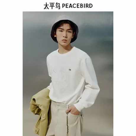 【商场同款】太平鸟男装圆领刺绣卫衣春季新款潮流上衣B1CRF1425图片
