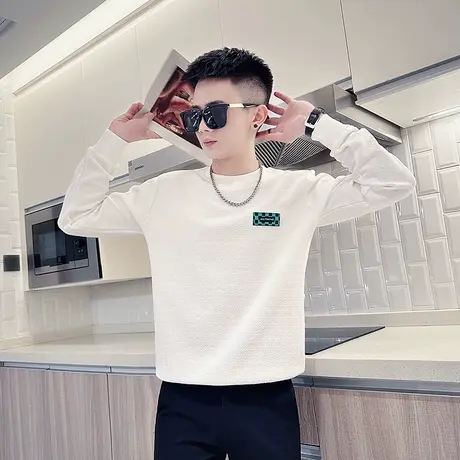 春秋季潮牌刺绣男士卫衣个性简约长袖打底衫潮痞帅高级感休闲上衣商品大图