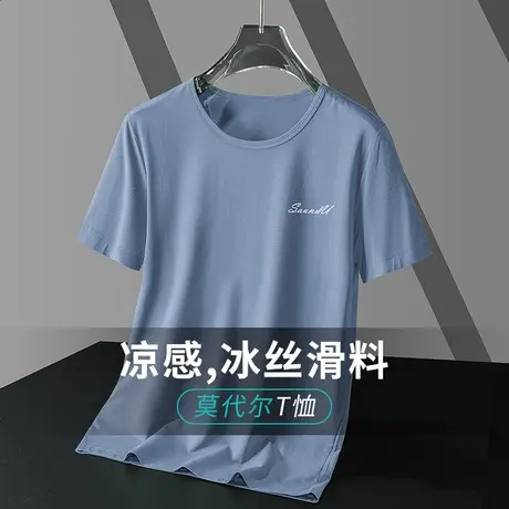 莫代尔短袖t恤男装潮牌潮流圆领上衣服冰丝凉感夏季半袖速干体恤商品大图