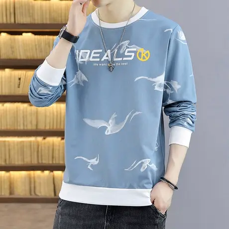 青少年春秋季长袖t恤男士卫衣初中高中学生秋装打底衫帅气上衣服商品大图