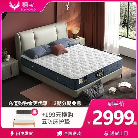 【线下同款】穗宝护脊弹簧乳胶软硬适中席梦思22cm床垫 穗月流金商品大图