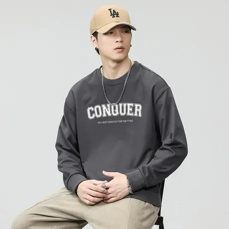 百搭字母印花长袖卫衣宽松春秋款潮流卫衣圆领大码男士休闲卫衣图片