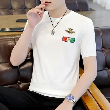 新款潮牌冰丝短袖t恤男士冰感夏季刺绣薄款针织半袖夏装帅气体恤商品大图
