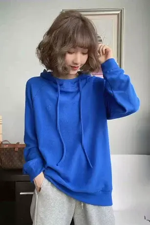 2023秋冬设计感小众克莱因蓝欧货德绒连帽内搭打底卫衣女宽松上衣商品大图