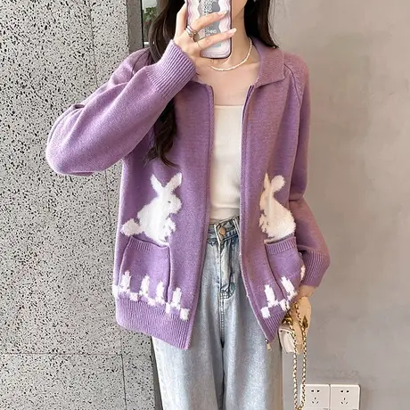 秋季2023新款小香风polo领拉链毛衣针织开衫女外套上衣外穿春秋女图片