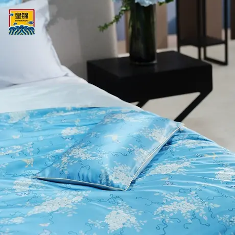 爱慕皇锦印花经典荞麦枕-九重紫HJ11869商品大图