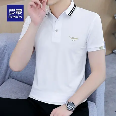 罗蒙男士短袖Polo衫夏季薄款商务休闲冰丝男装T恤带翻领上衣服潮商品大图