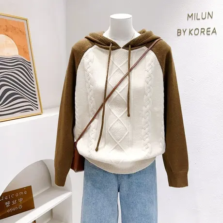 韩代同款毛衣秋冬软糯慵懒休闲连帽保暖针织衫复古咖色小个子外套图片