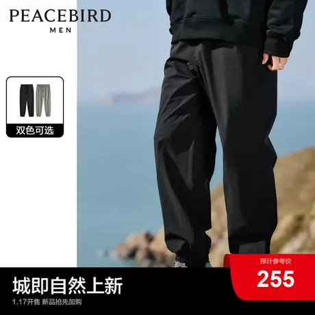 太平鸟男装休闲裤24春新款直筒工装男士宽松户外登山挺括伞兵裤潮图片