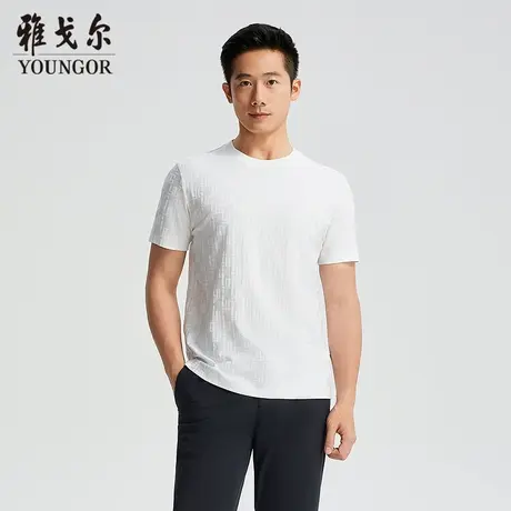 【商场同款】雅戈尔男士短袖T恤夏季新款官方商务休闲短袖T恤男商品大图