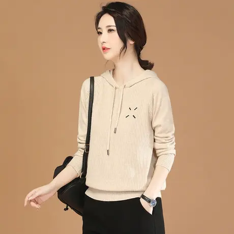 韩潮袭人连帽刺绣套头毛衣女2023冬季新款休闲百搭显瘦时尚针织衫图片