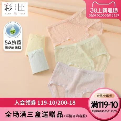 彩田内裤女夏季新款中腰蕾丝提花蝴蝶结茶多酚抗菌底裆女士三角裤商品大图