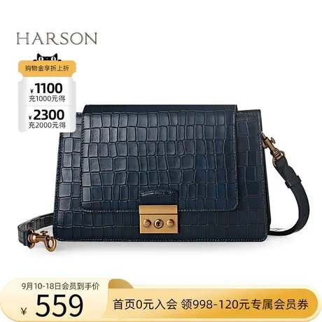 哈森  冬季石头纹斜挎单肩  链条装饰休闲女包 HA74517图片