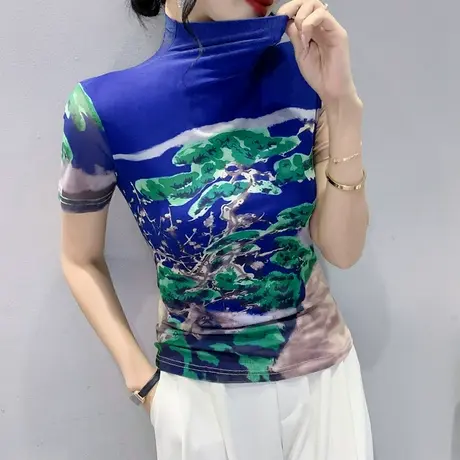 半高领网纱T恤女短袖时尚修身小衫夏2024新款印花设计感洋气上衣商品大图