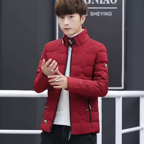 男士外套冬季棉衣2023新款立领羽绒棉服时尚潮流男装加厚冬天棉袄商品大图