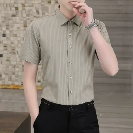 刺绣条纹短袖衬衫男士高级感夏季修身商务潮流帅气上班休闲衬衣薄图片