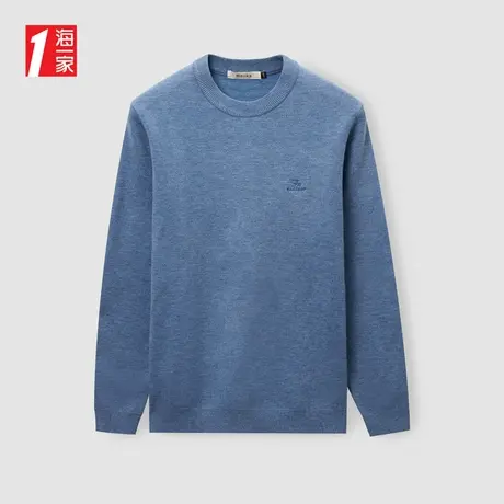 海一家保暖半高领毛衣2023冬季新款舒适圆领男士长袖针织衫商品大图