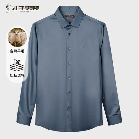【羊毛】才子高端商务长袖衬衫男士2025秋季新款弹力免烫斜纹衬衣图片