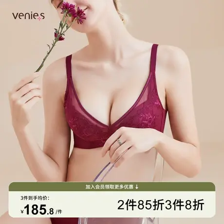 芬怡小胸聚拢内衣女专柜同款性感显胸大收副乳调整型文胸EV095商品大图