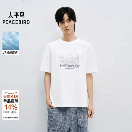 【商场同款】太平鸟男装 2025年夏季新款刺绣印花T恤男B1CNF2614&商品大图