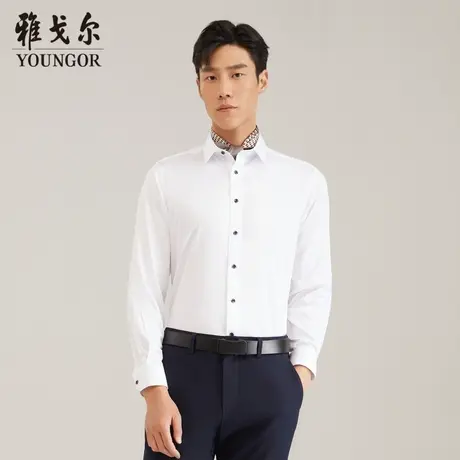 【中国缎DP免烫】D系雅戈尔衬衫秋季商务修身棉弹易打理长袖衬衫商品大图