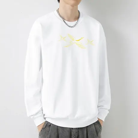 380g重磅国潮卫衣男纯棉无帽上衣宽松潮流摇粒绒白色圆领长袖t恤图片