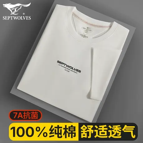 七匹狼男士短袖男款2025新款夏日纯棉t恤圆领半袖体恤衫透气全棉t商品大图