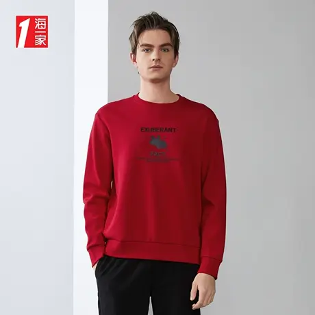 海一家趣味动物印花套头衫新款圆领休闲青年男士卫衣图片