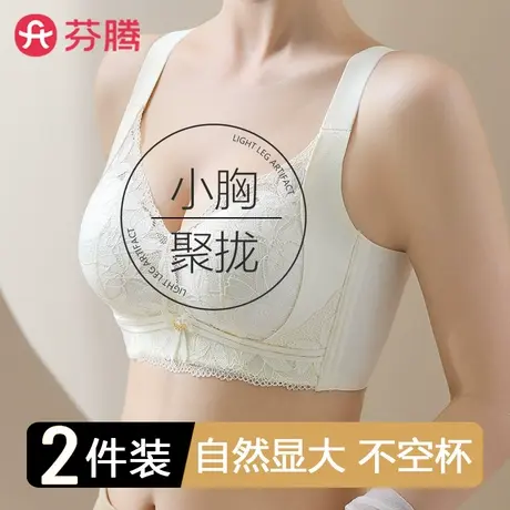 芬腾内衣女士小胸聚拢显大2025新款爆款收副乳防下垂调整型文胸罩商品大图