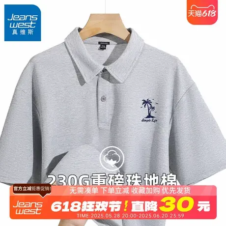 GV真维斯polo衫短袖男2024新款夏季港风宽松休闲大码男士翻领t恤B图片